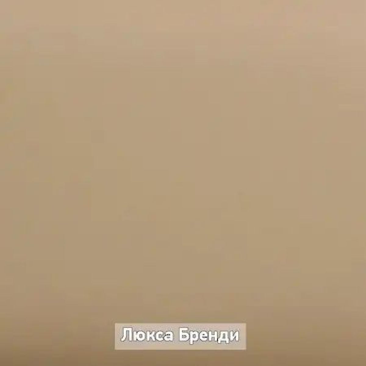 ОЛЬГА-ЛОФТ 6.1 Вешало настенное | фото 5