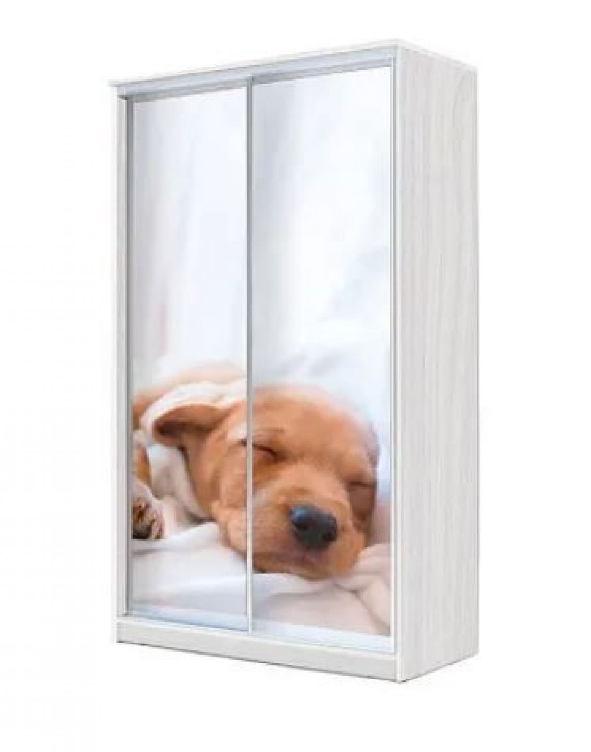 Шкаф-купе ХИТ 22-12/2-77 (620) | фото 7