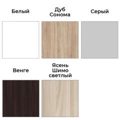 Шкаф-купе ХИТ 22-17-55 (620) | фото 3