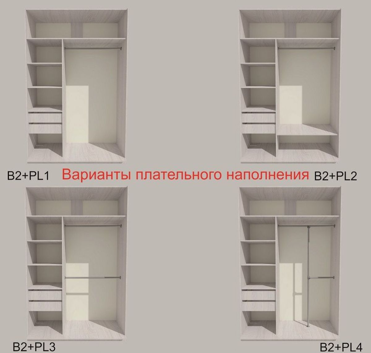 Шкаф-купе 1700 серии SILVER S1+S1+B2+PL2 (2 ящика+1 штанга+1 полка) профиль «Серебро» | фото 6