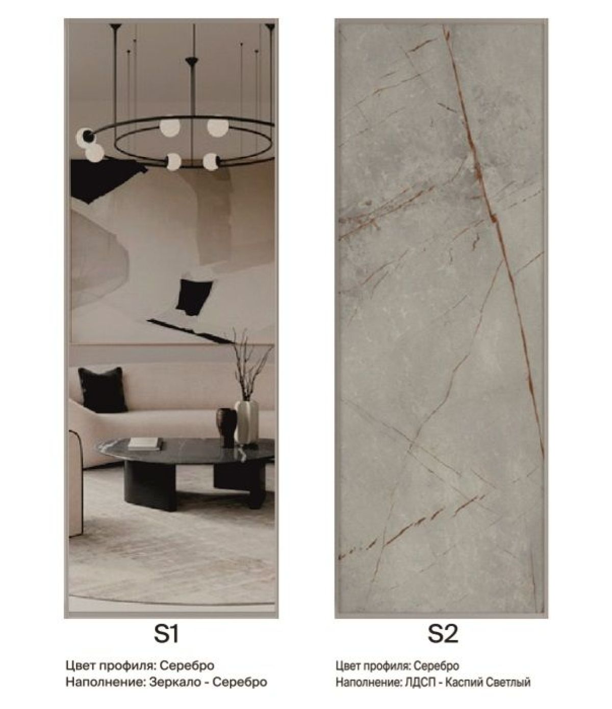 Шкаф-купе 1700 серии SILVER S1+S1+B2+PL2 (2 ящика+1 штанга+1 полка) профиль «Серебро» | фото 7