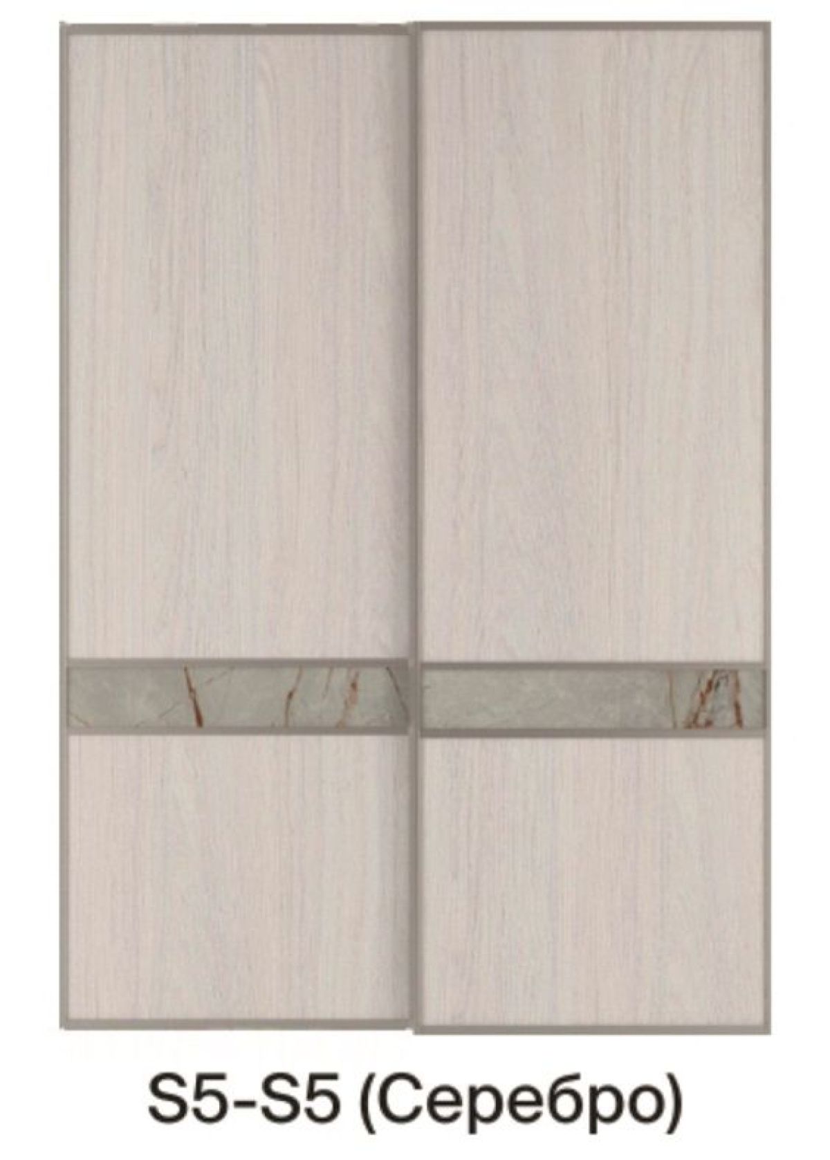 Шкаф-купе 2250 серии SILVER S5+S1+S5 B22+PL2 (по 2 ящика лев/прав+1 штанга+1 полка) профиль «Серебро» | фото 12