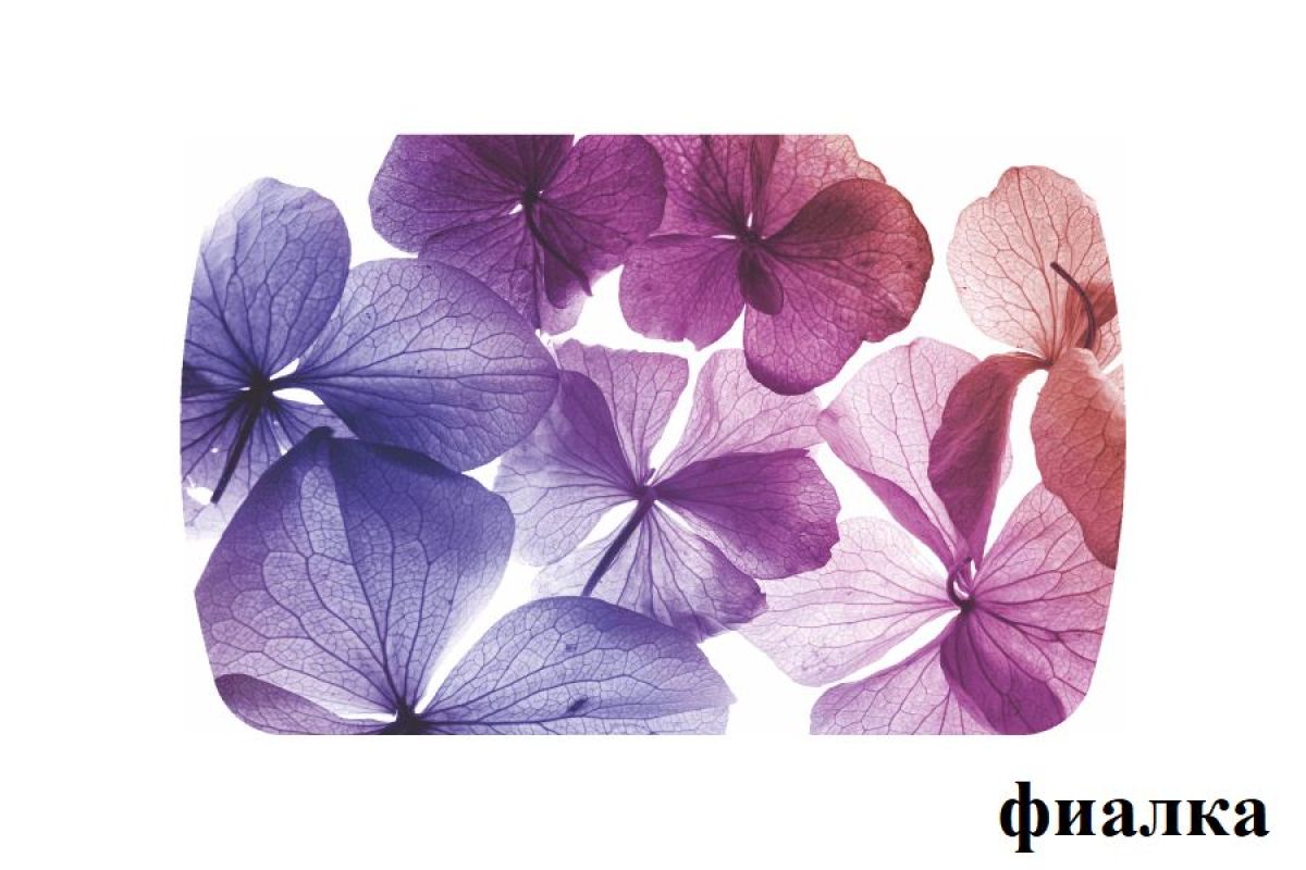 БОСТОН - 2 опоры Брифинг | фото 25