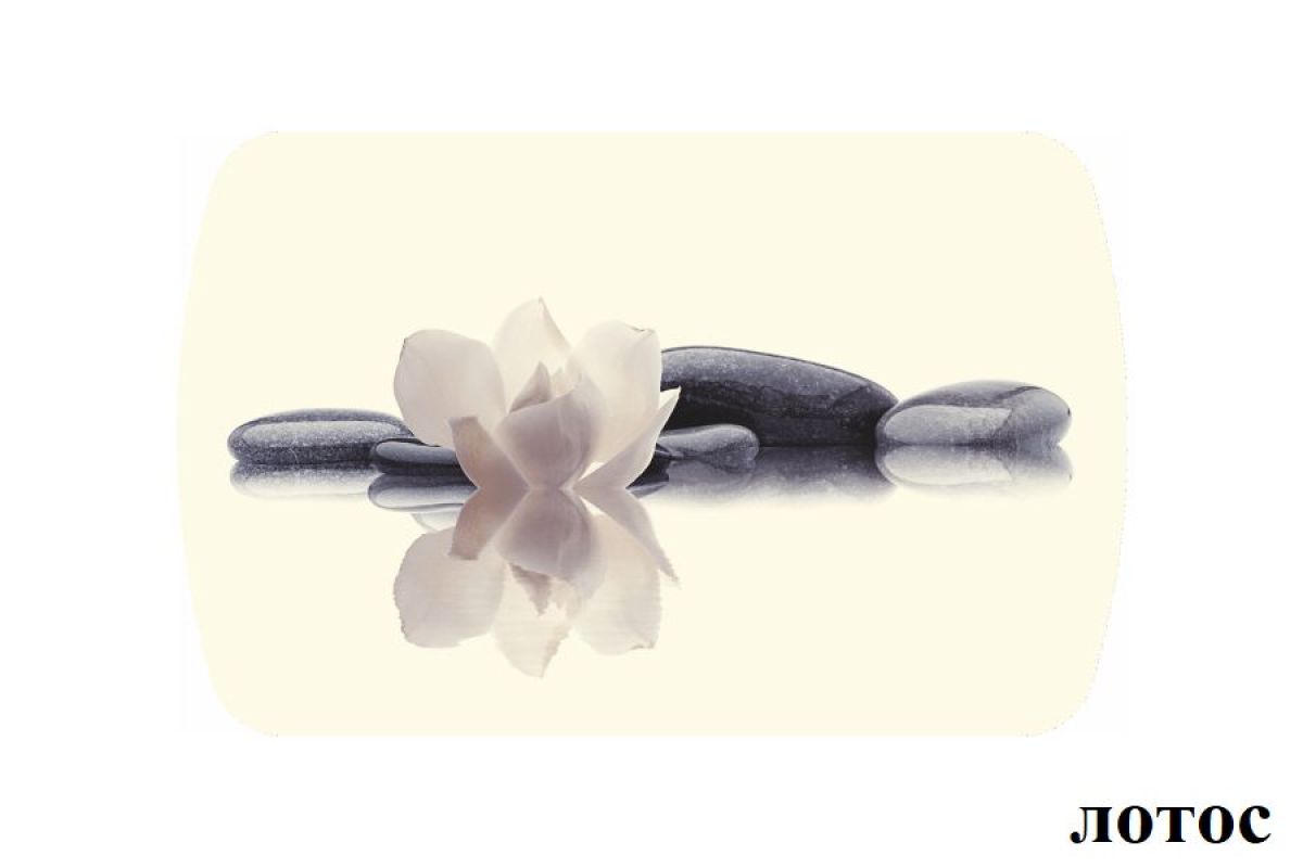 БОСТОН опоры Брифинг | фото 17