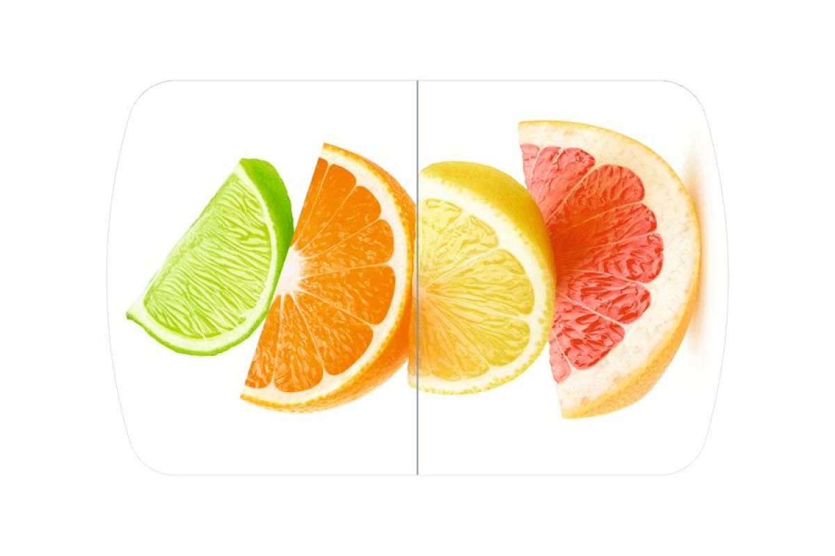 БОСТОН опоры Брифинг | фото 19