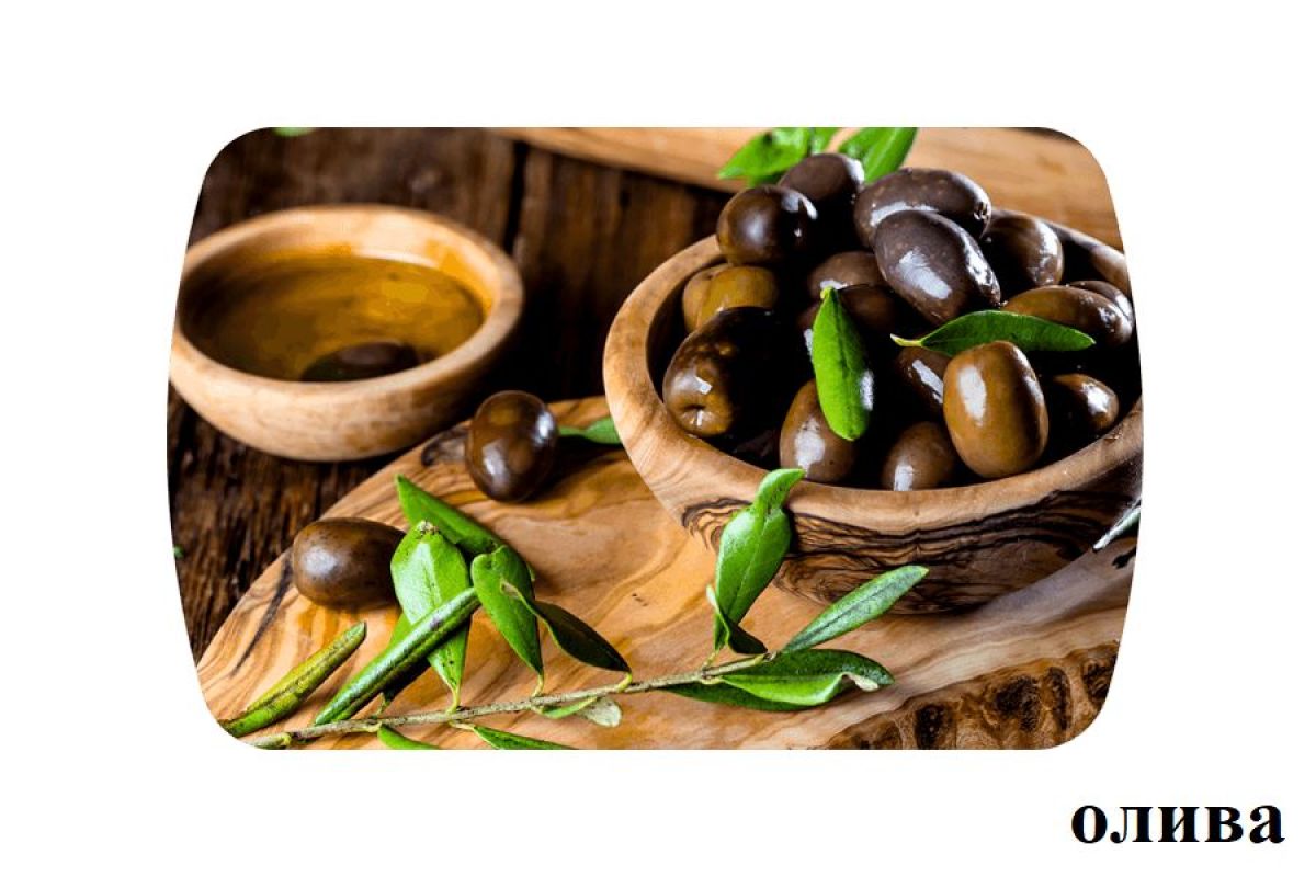 БОСТОН опоры Брифинг | фото 20