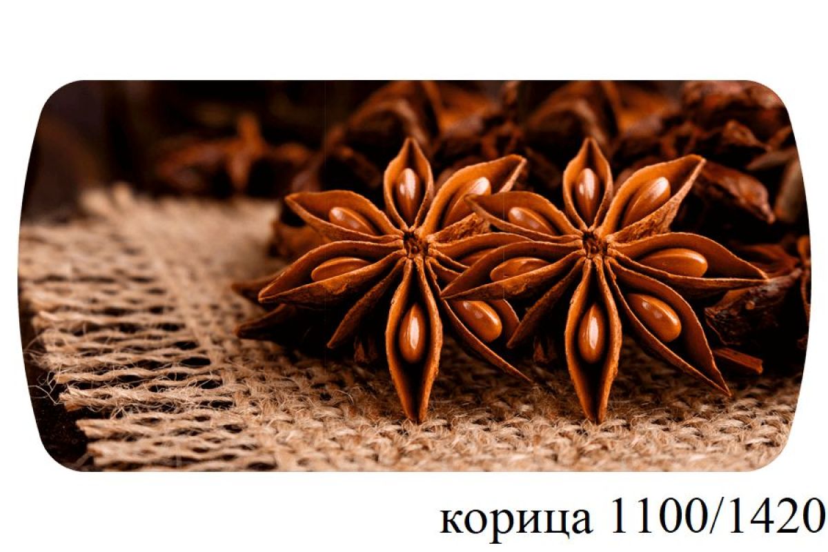 БОСТОН - 3 Стол раздвижной 1100/1420 опоры Брифинг | фото 19