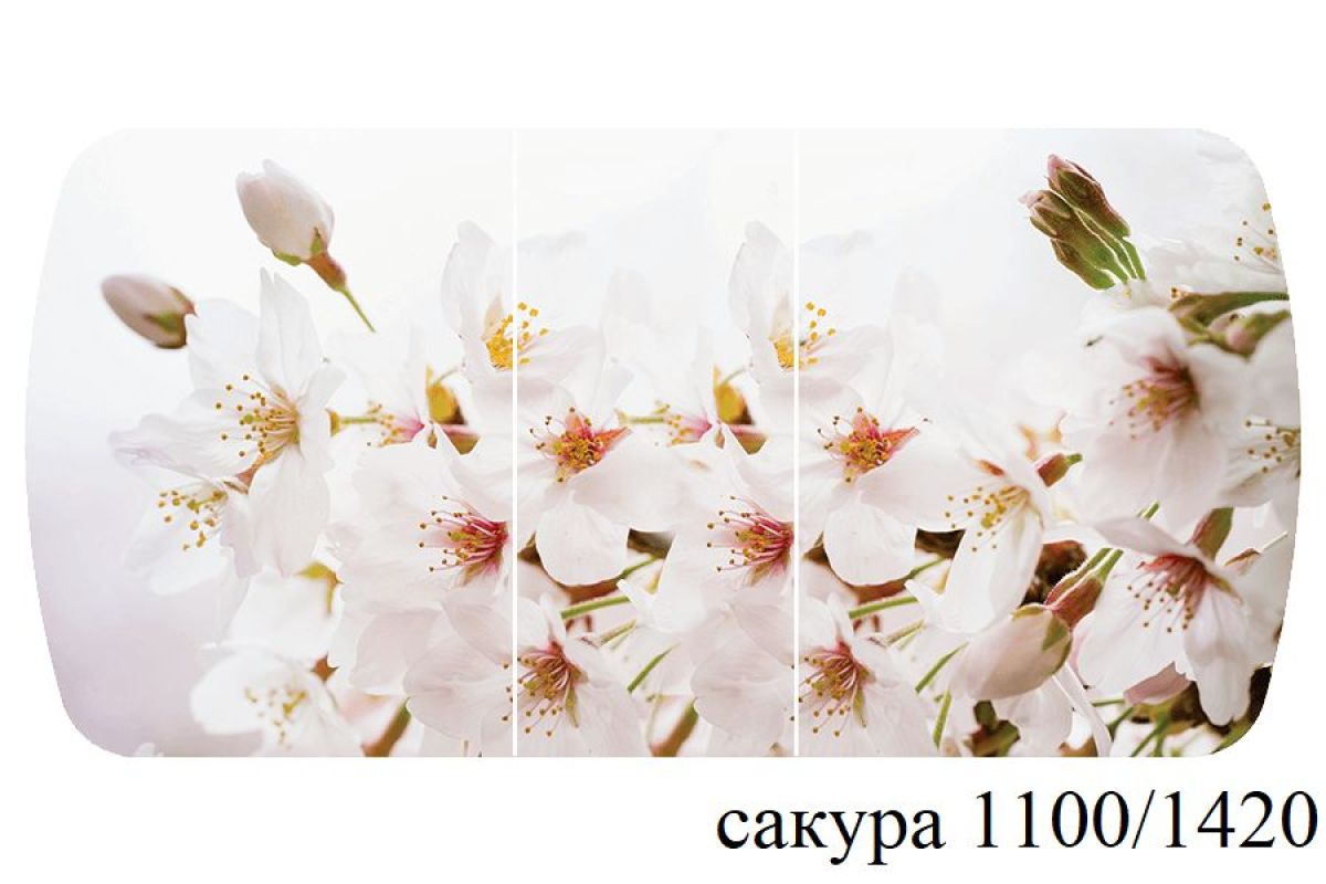 БОСТОН - 3 Стол раздвижной 1100/1420 опоры Брифинг | фото 41