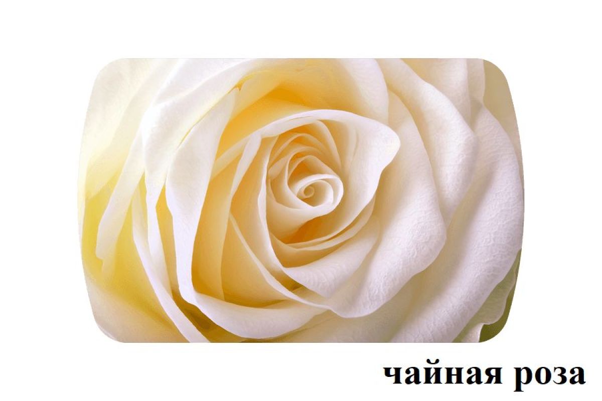 БОСТОН - 3 Стол раздвижной 1100/1420 опоры Брифинг | фото 46