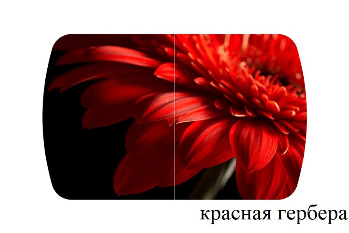 БОСТОН - 2 опоры Триумф | фото 50