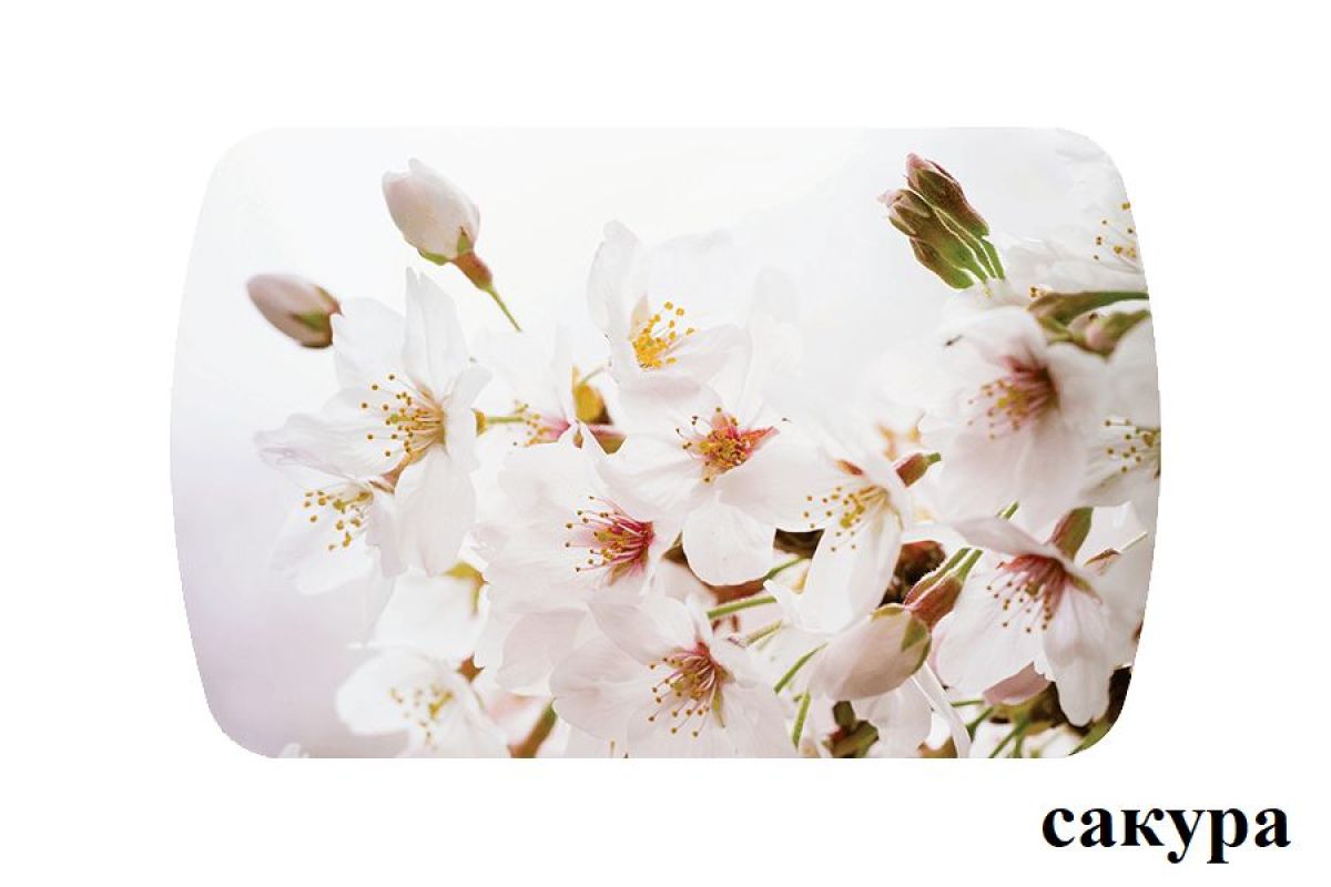 БОСТОН опоры Триумф | фото 41