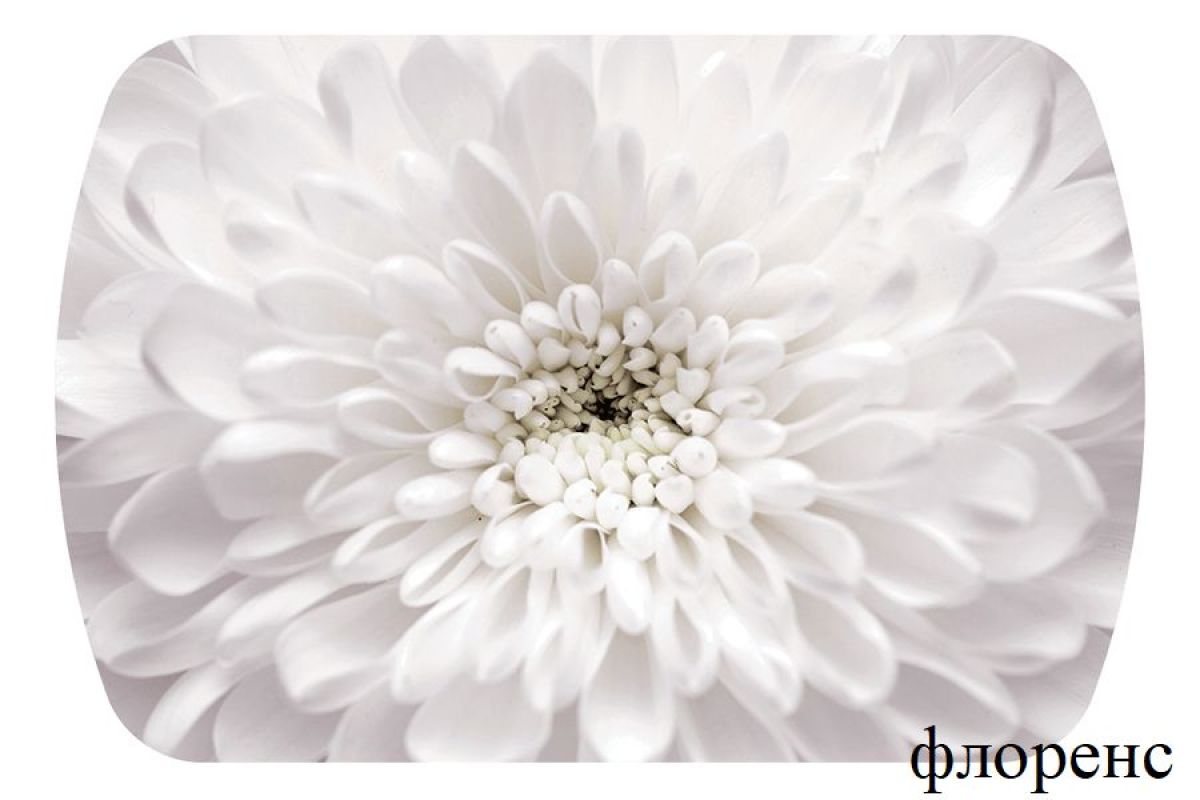 БОСТОН опоры Триумф | фото 45