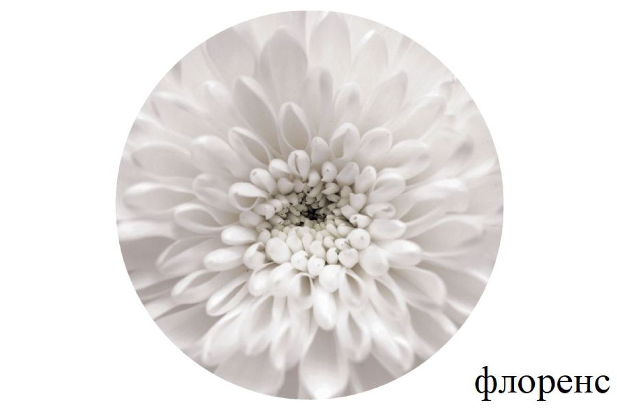 БОСТОН Стол круглый раздвижной 1080/1420 опоры Триумф | фото 11