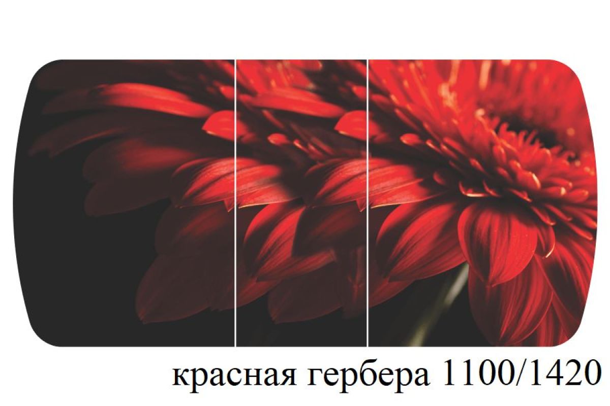 БОСТОН - 3 Стол раздвижной 1100/1420 опоры Триумф | фото 22