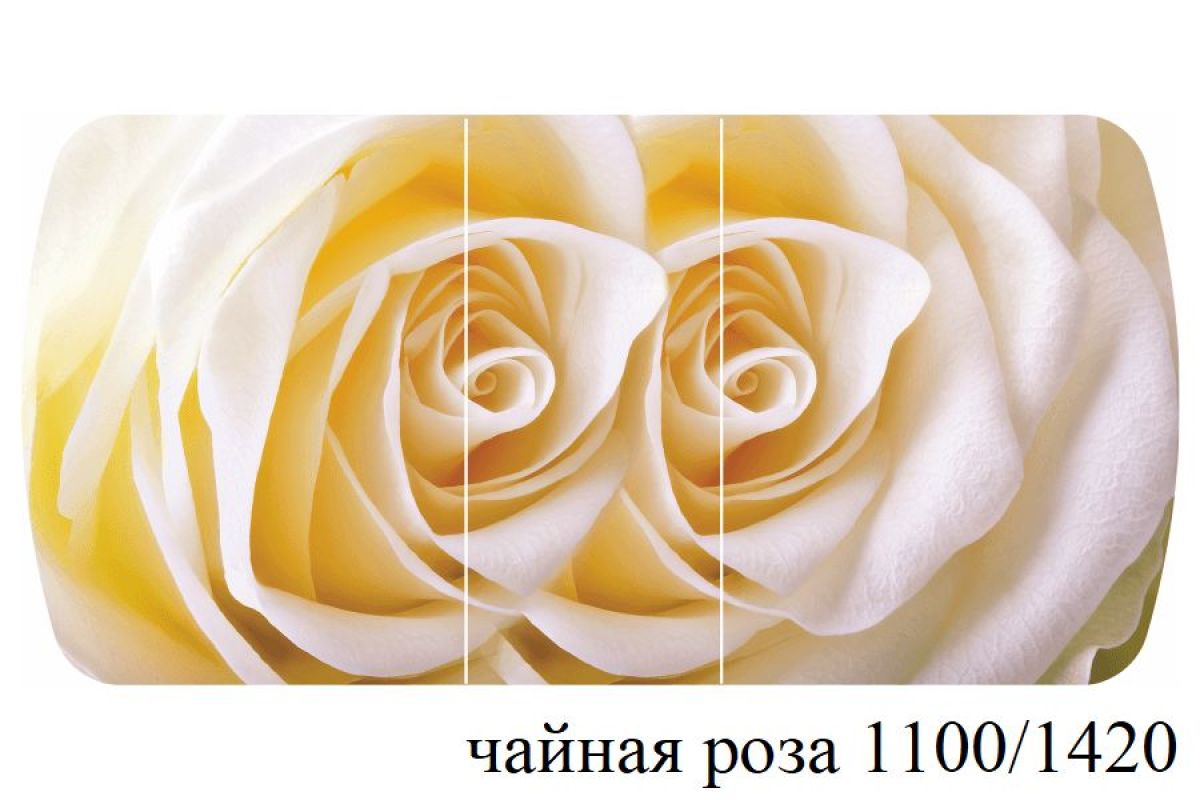 БОСТОН - 3 Стол раздвижной 1100/1420 опоры Триумф | фото 52