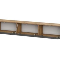 БАЙКАЛ Тумба (Графит/Дуб золотой) | фото 2