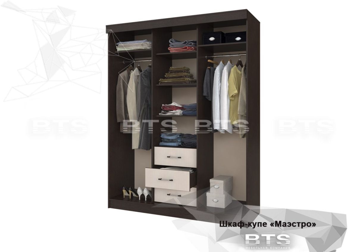 Шкаф-купе Маэстро (Венге/Лоредо) | фото 6