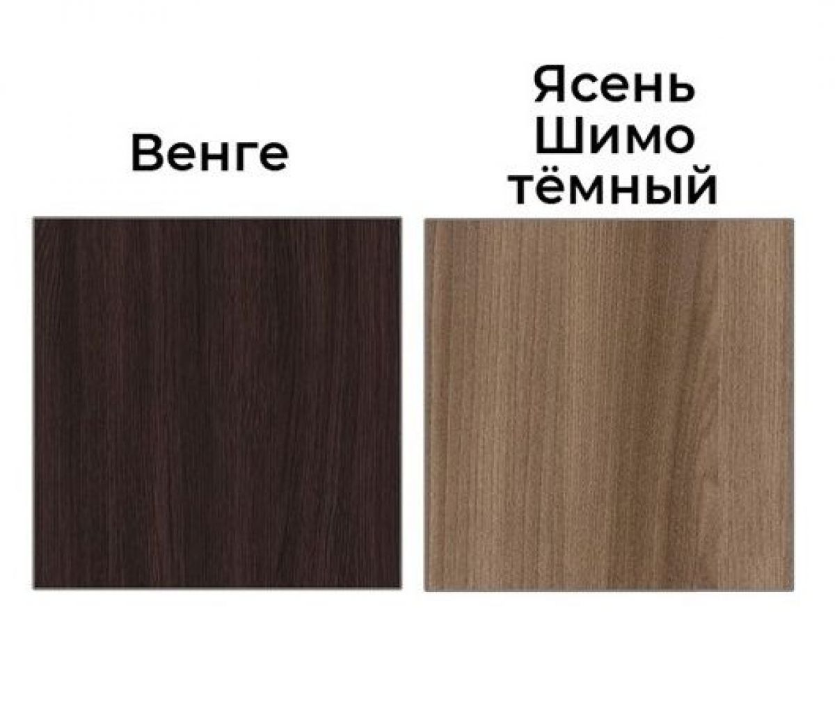 Шкаф-купе Рене 1500 вариант 1 (ЛДСП/ЛДСП) | фото 2