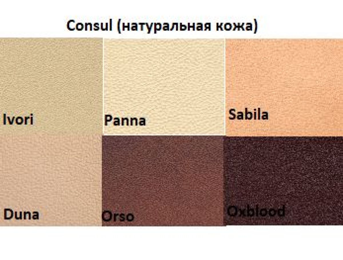 Диван двухместный Алекто Consul натуральная кожа | фото 5