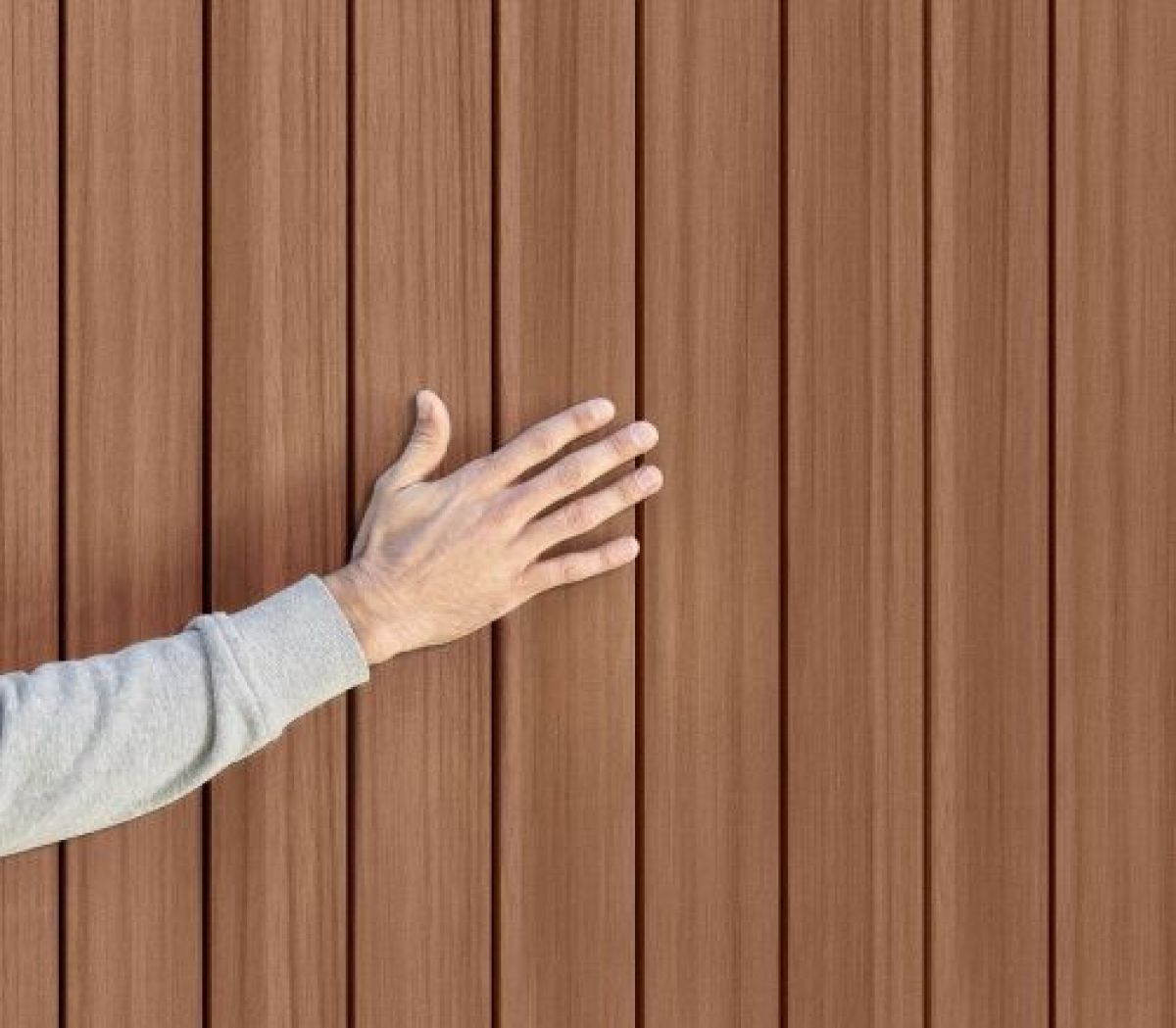 Сарай Дарвин 4х6 (Darwin 4x6) коричневый | фото 6